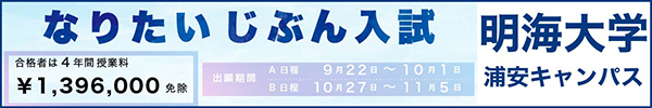 大学受験/過去問/バラ売り可/私立大学セット/明治大学/慶應大学/法政大学/入試 Masao Seki, 